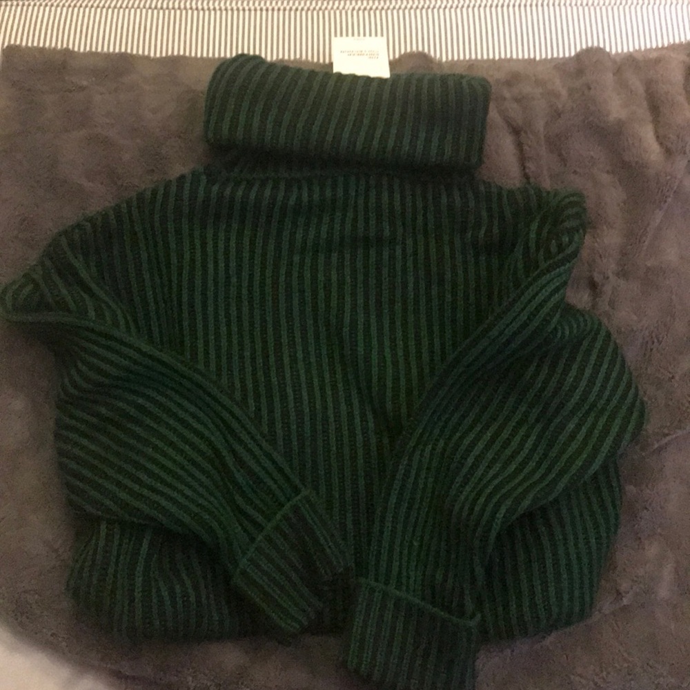 NWT Zara green turtleneck